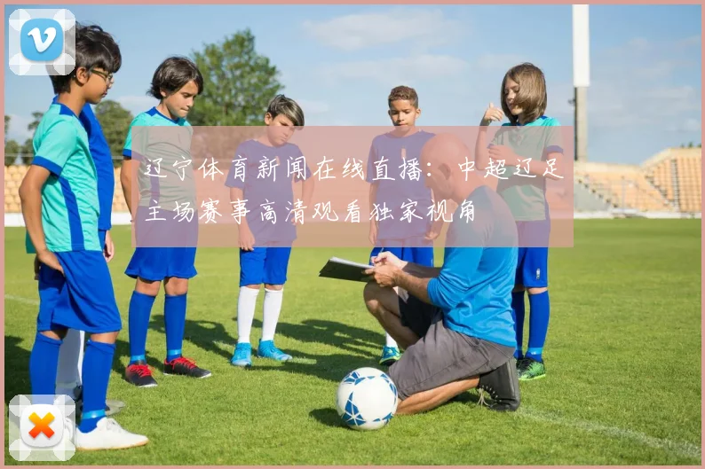 辽宁体育新闻在线直播：中超辽足主场赛事高清观看独家视角